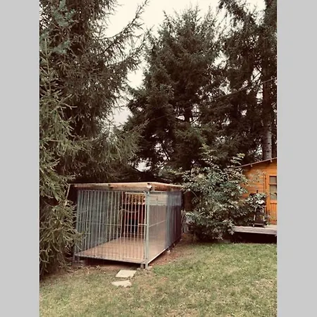 Idyllisches Am Wald *