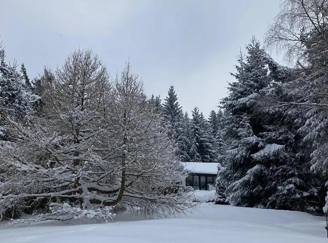 Idyllisches Am Wald 度假居 *